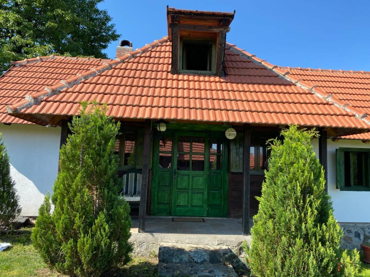 Camp Viljamovka Leilighet Kremna Eksteriør bilde